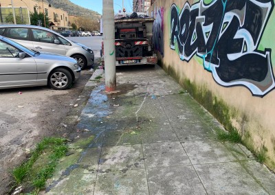cirrincione foto 3