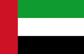 Bandiera emirati arabi